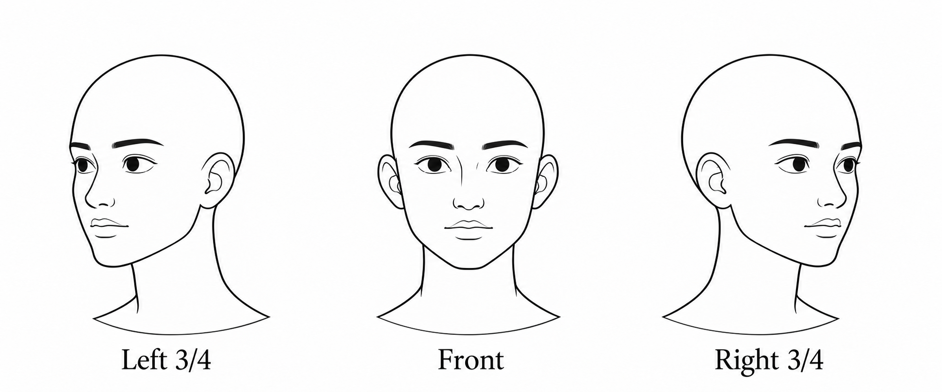 Front-facing bald line-art guide